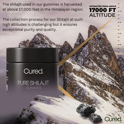 CURED® Authentic Shilajit Gummies - Elevate your wellness naturally!