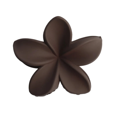 Fashionable Matte Women Hair Clips