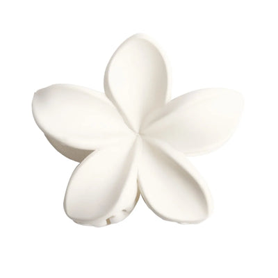 Fashionable Matte Women Hair Clips