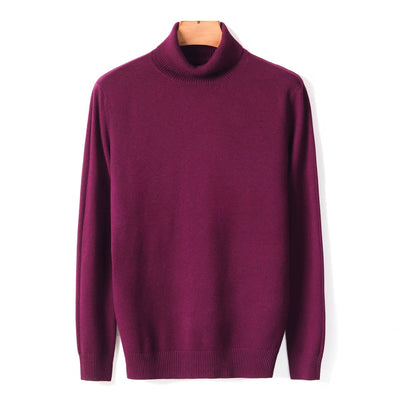 Turtle Neck Pullover for Men