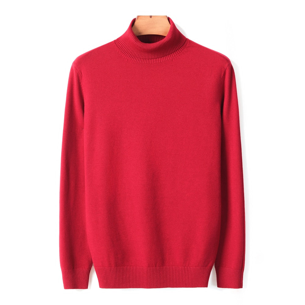 Turtle Neck Pullover for Men