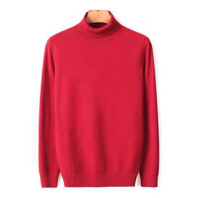 Turtle Neck Pullover for Men